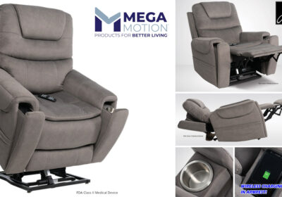 mega motion mm 3900